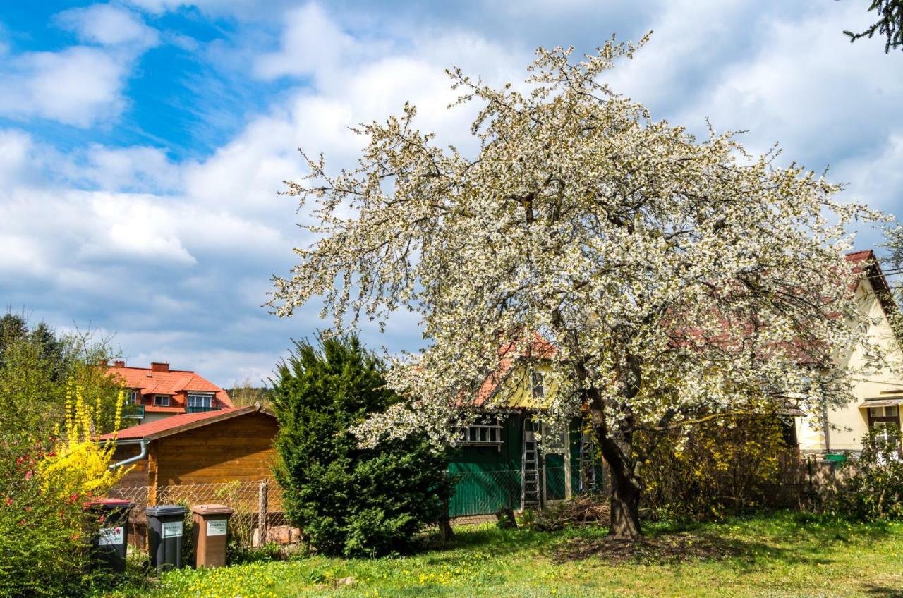 Gemuetliches, Heimeliges Ferienhaus Gars am Kamp Zewnętrze zdjęcie